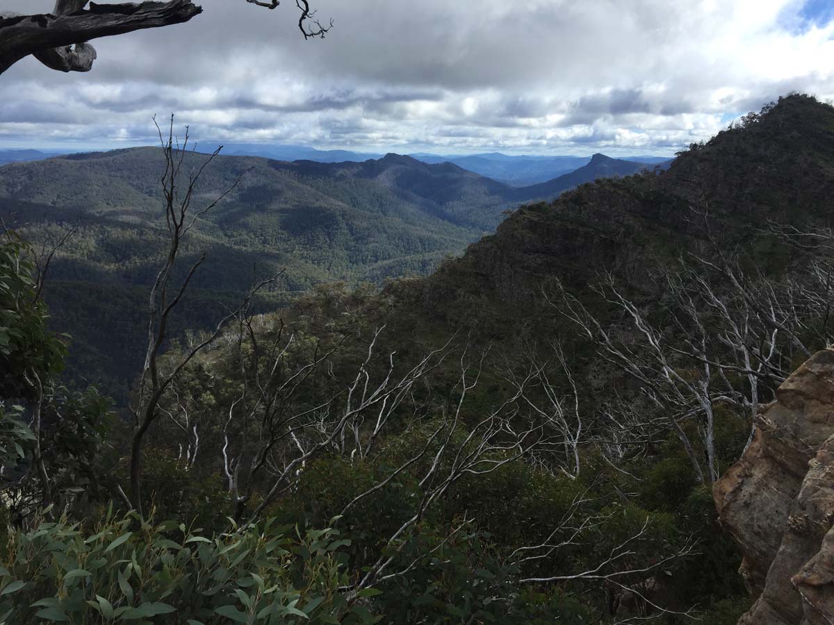 Crosscut saw & mt speculation hike 9