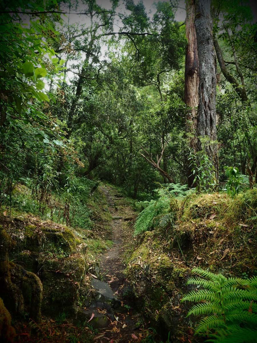 Cumberland river trail (16)