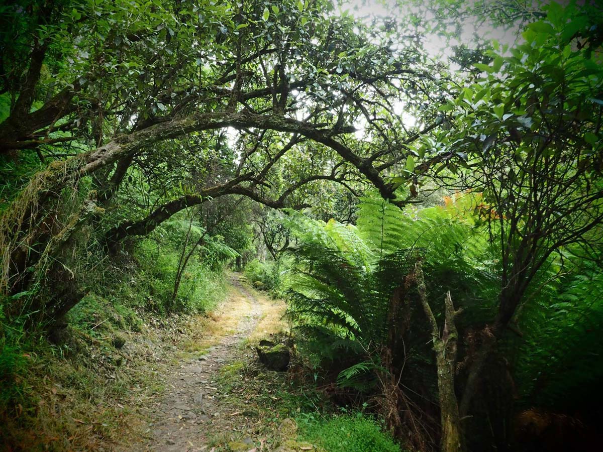 Cumberland river trail (28)