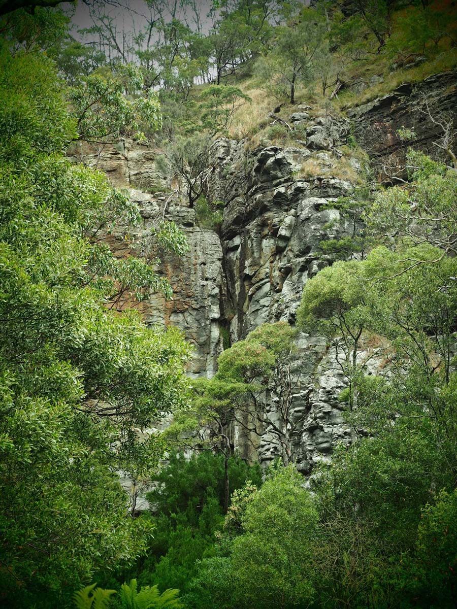 Cumberland river trail (3)