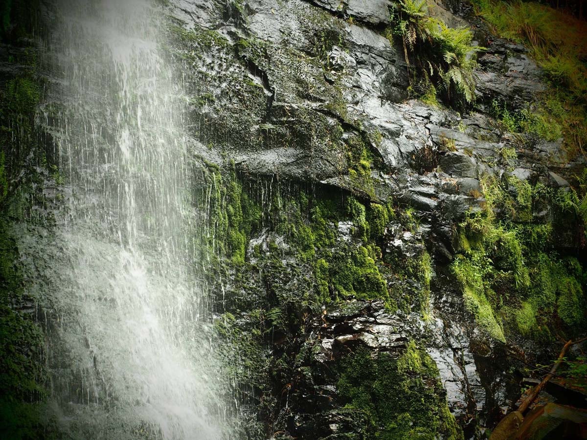 Cumberland river trail (30)