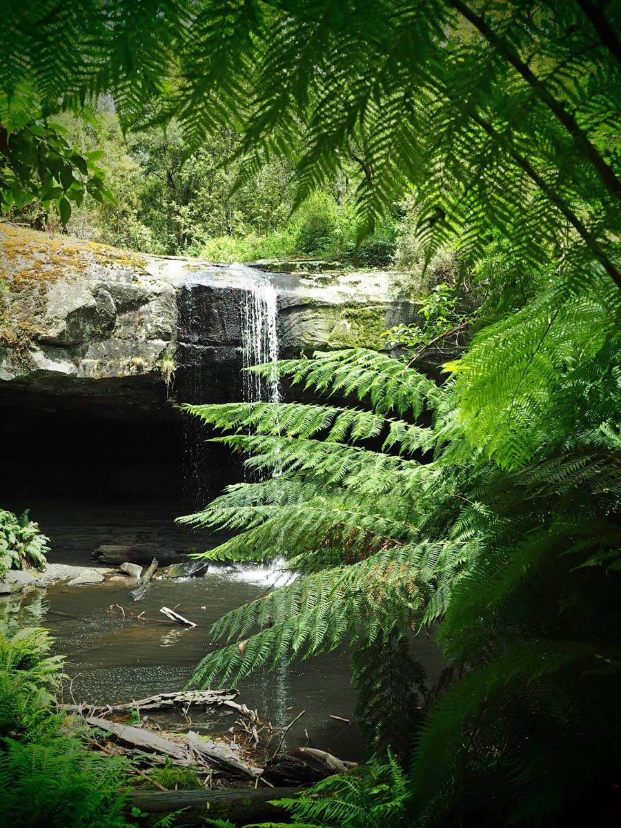 Cumberland river trail (32)