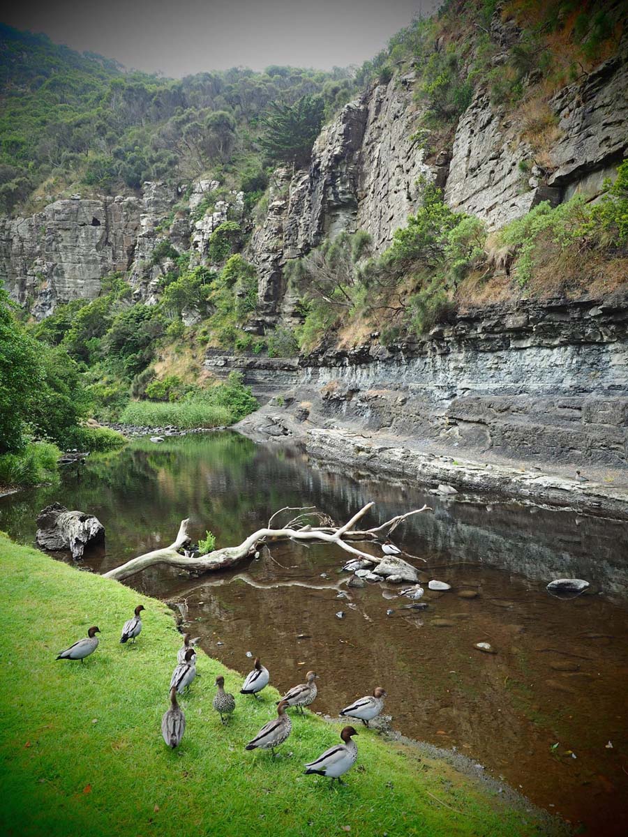 Cumberland river trail (41)