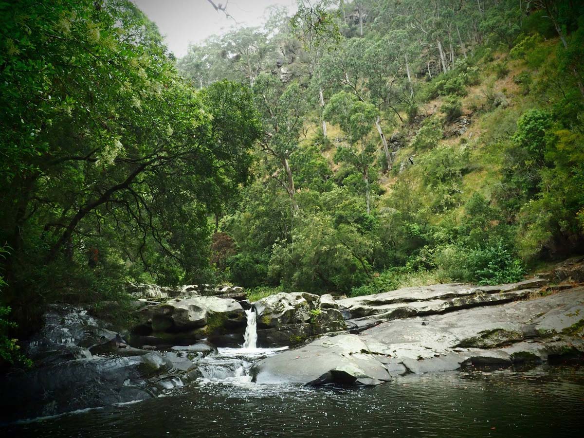 Cumberland river trail (43)