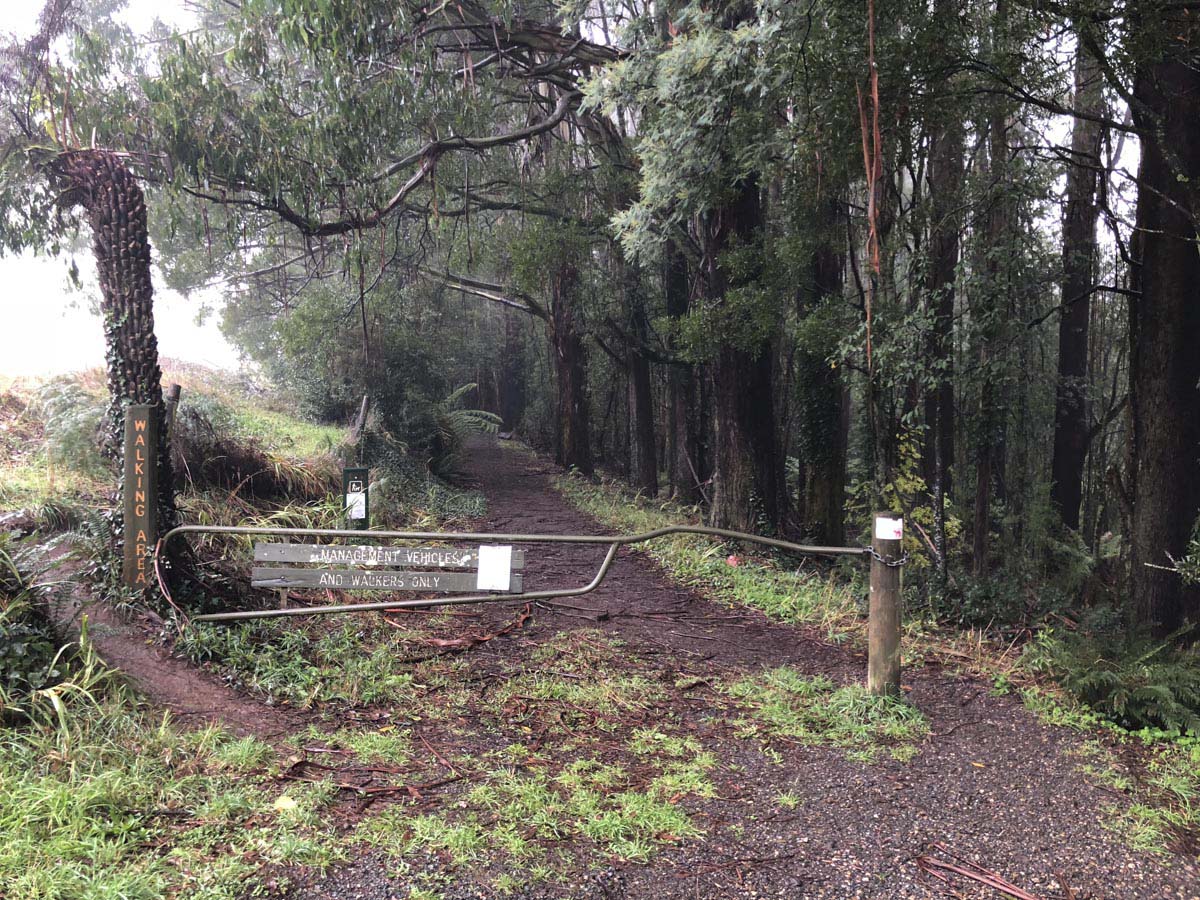 Dandenong ranges circuit hike 13