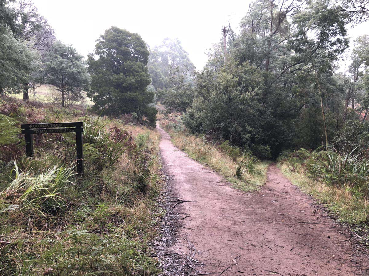 Dandenong ranges circuit hike 15