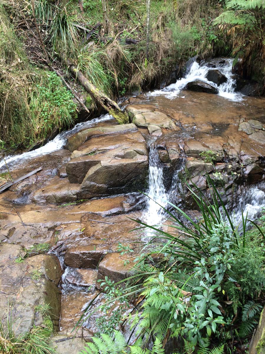 Dandenong ranges circuit hike 2