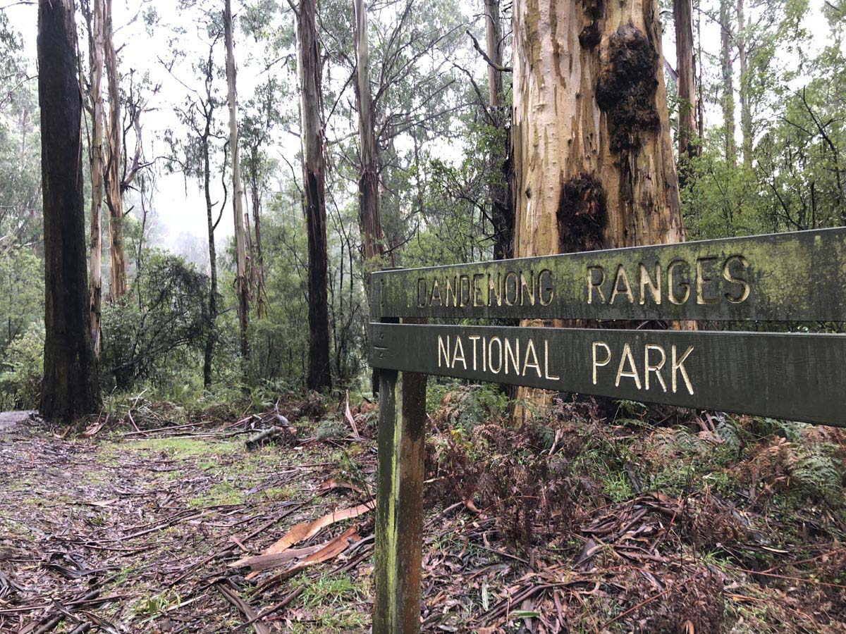 Dandenong ranges circuit hike 20