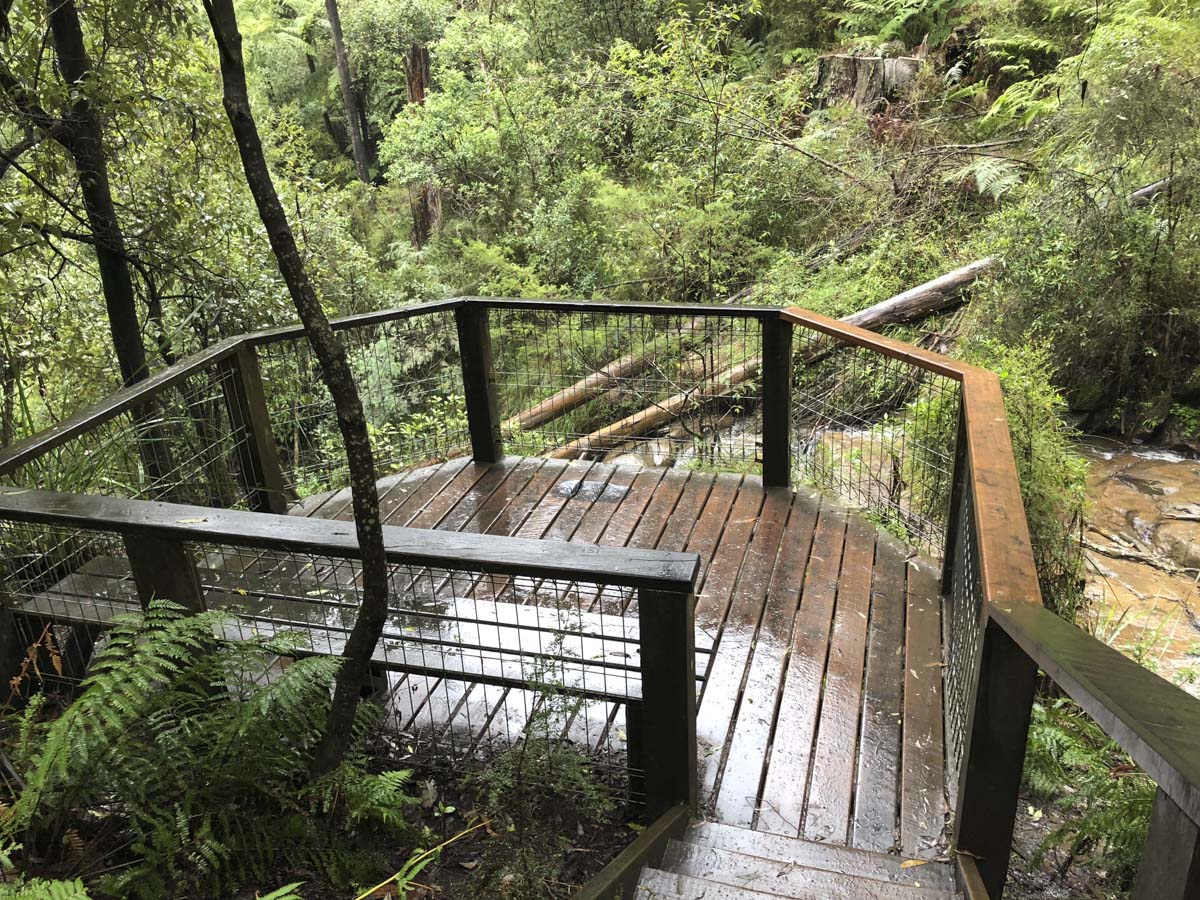 Dandenong ranges circuit hike 22
