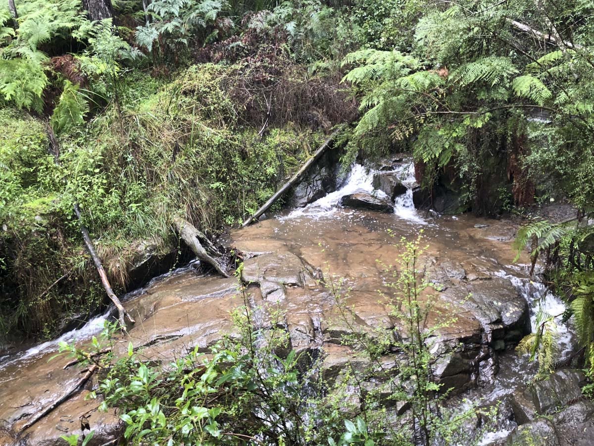 Dandenong ranges circuit hike 23