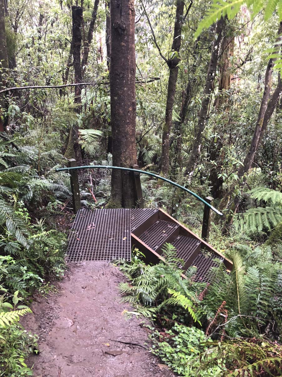 Dandenong ranges circuit hike 24
