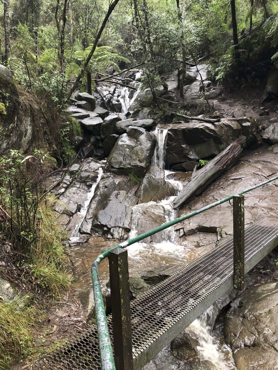 Dandenong ranges circuit hike 26