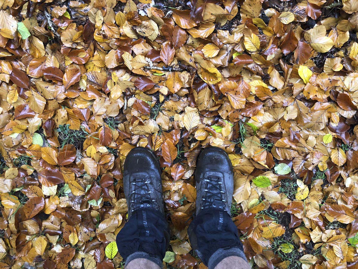 Dandenong ranges circuit hike 34