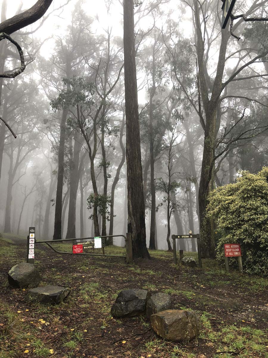 Dandenong ranges circuit hike 35