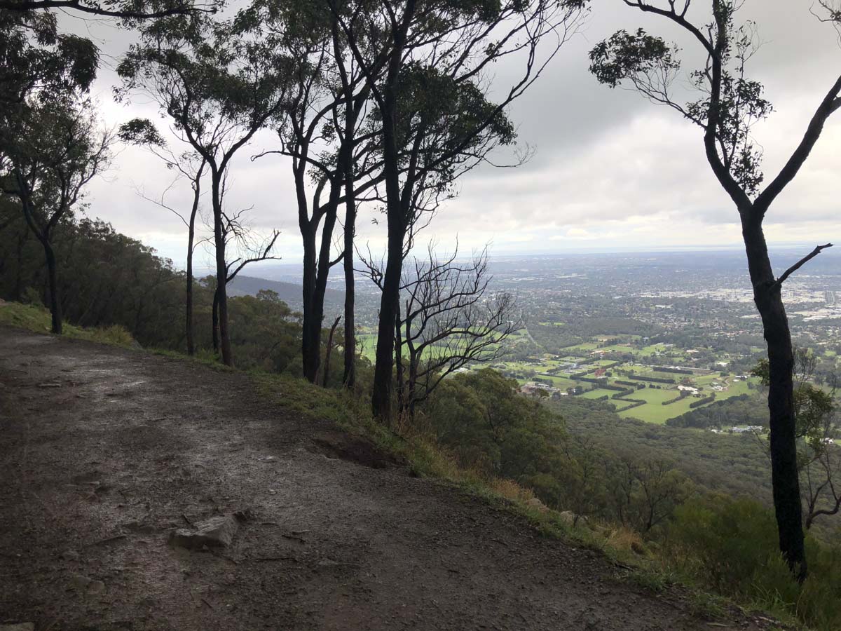 Dandenong ranges circuit hike 37