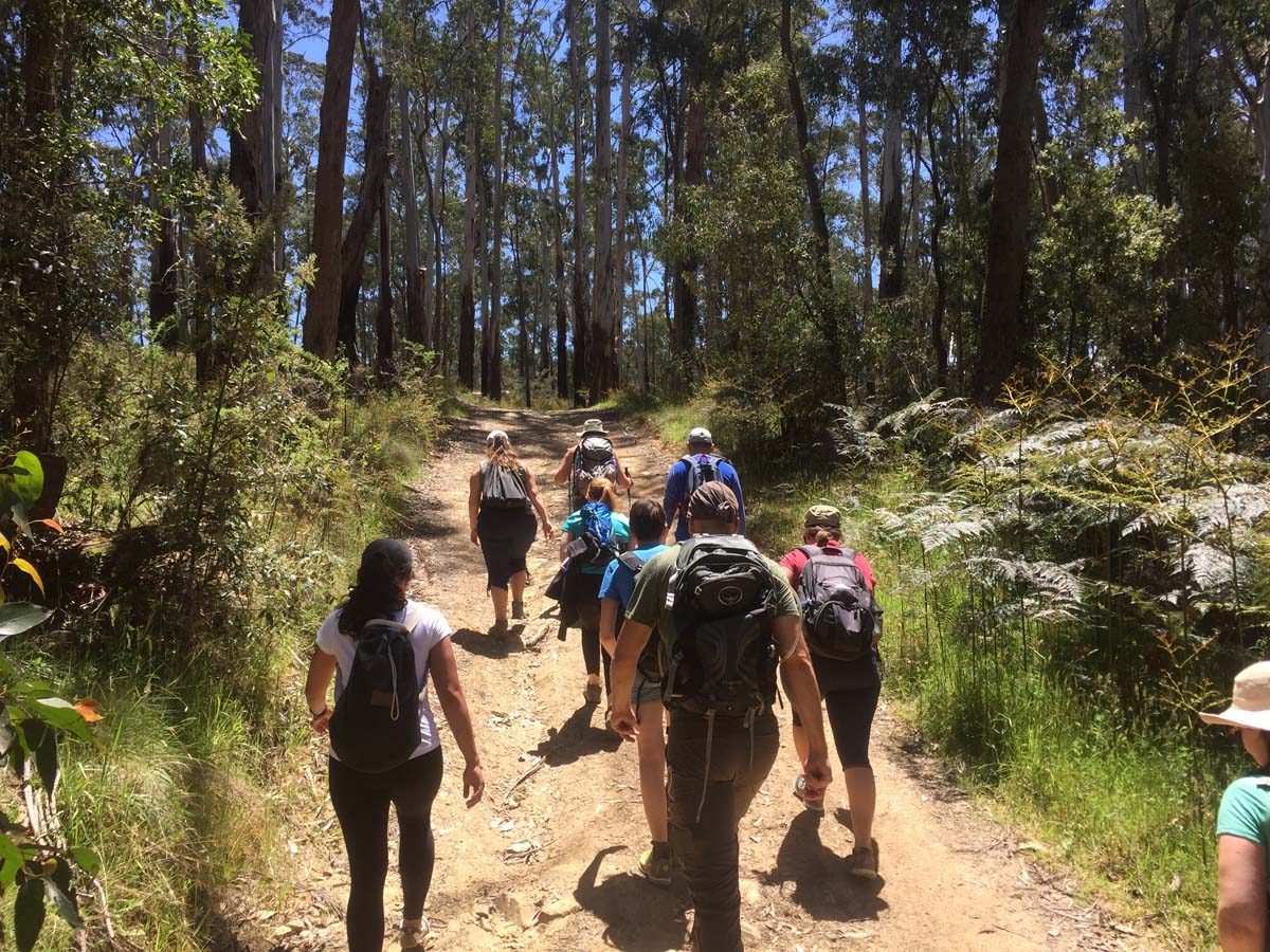 Daylesford lakes & falls hike 10