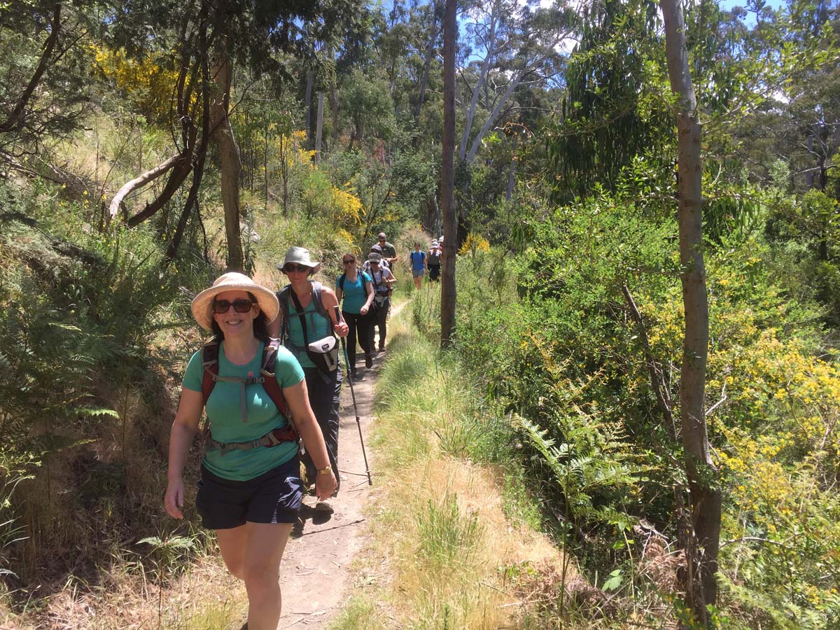 Daylesford lakes & falls hike 11
