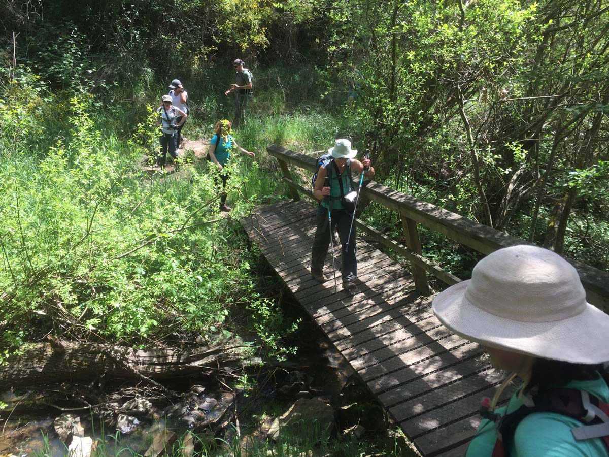 Daylesford lakes & falls hike 13