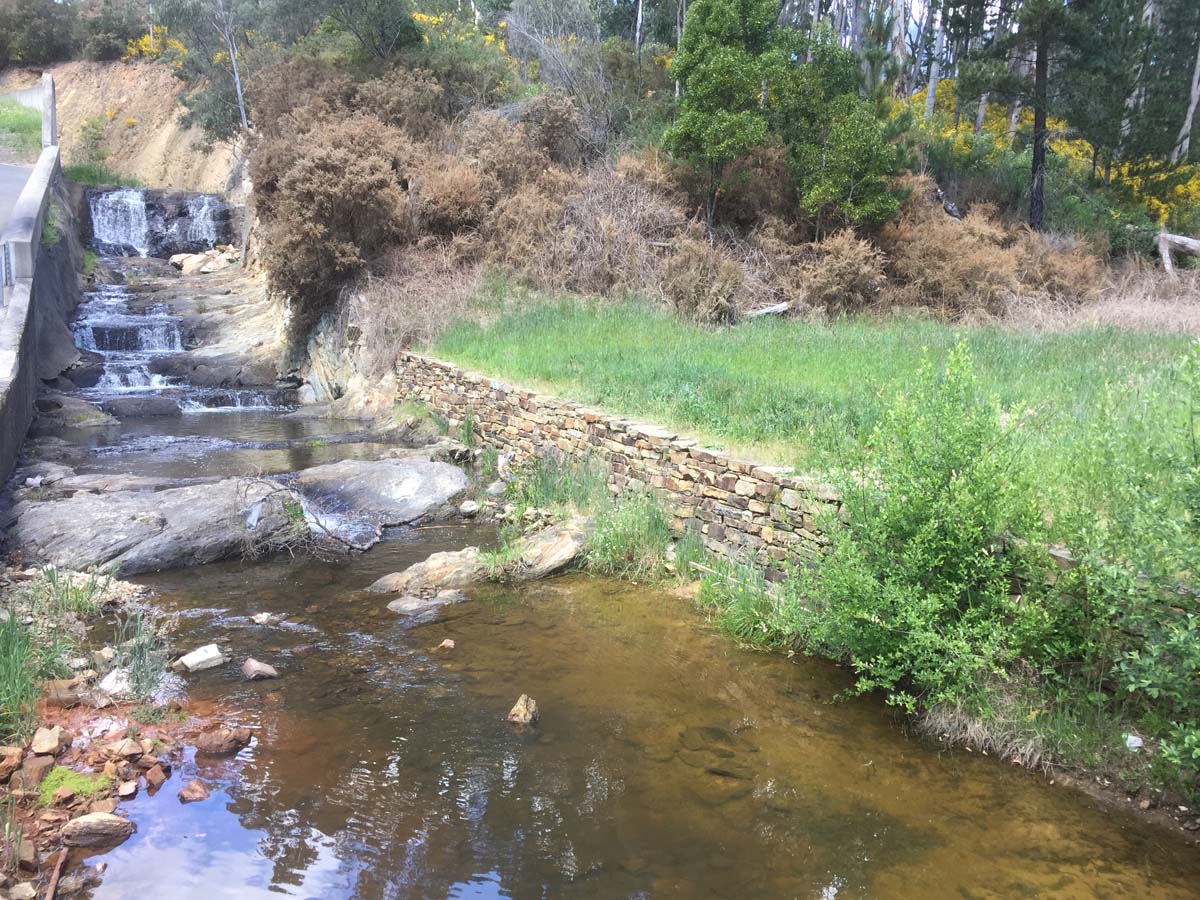 Daylesford lakes & falls hike 17