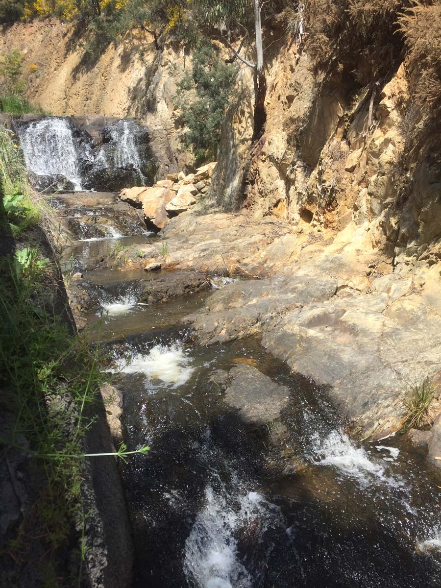 Daylesford lakes & falls hike 19