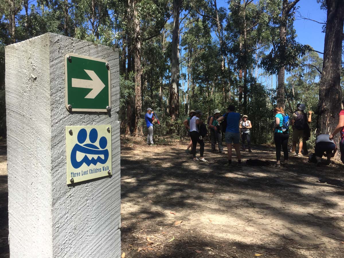 Daylesford lakes & falls hike 2