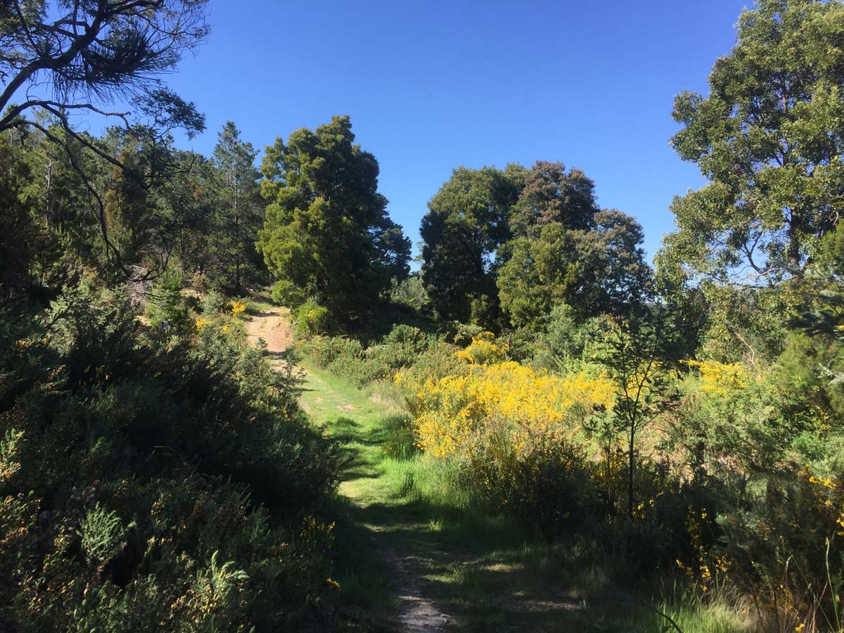 Daylesford lakes & falls hike 21
