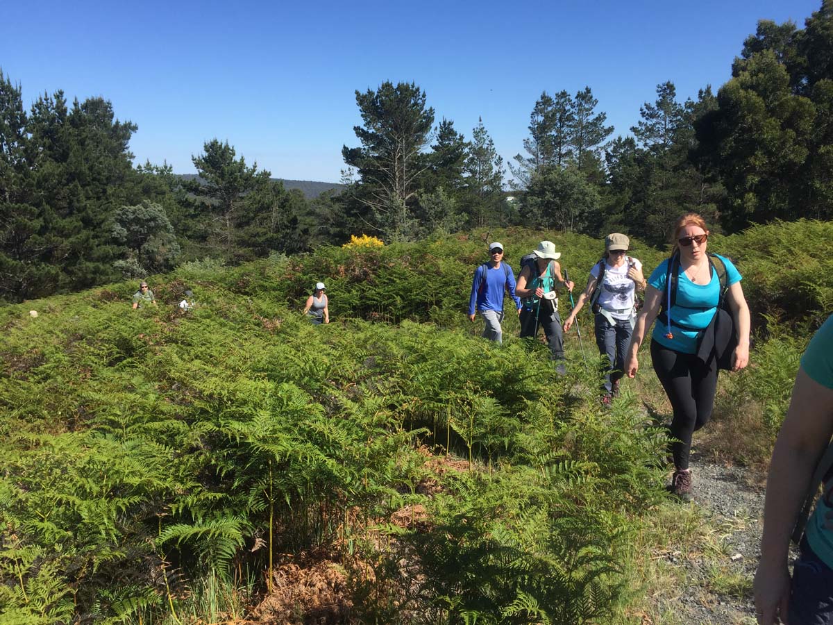 Daylesford lakes & falls hike 22