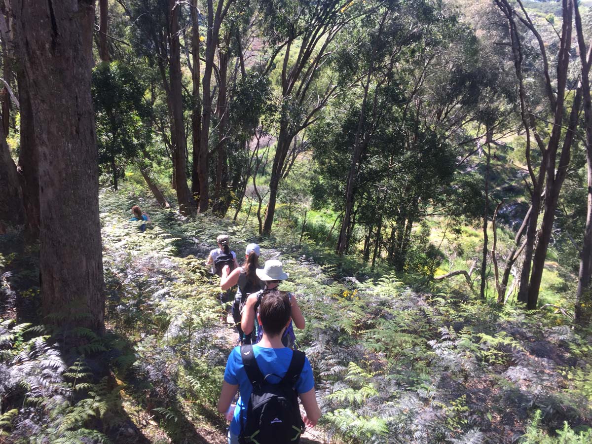 Daylesford lakes & falls hike 23