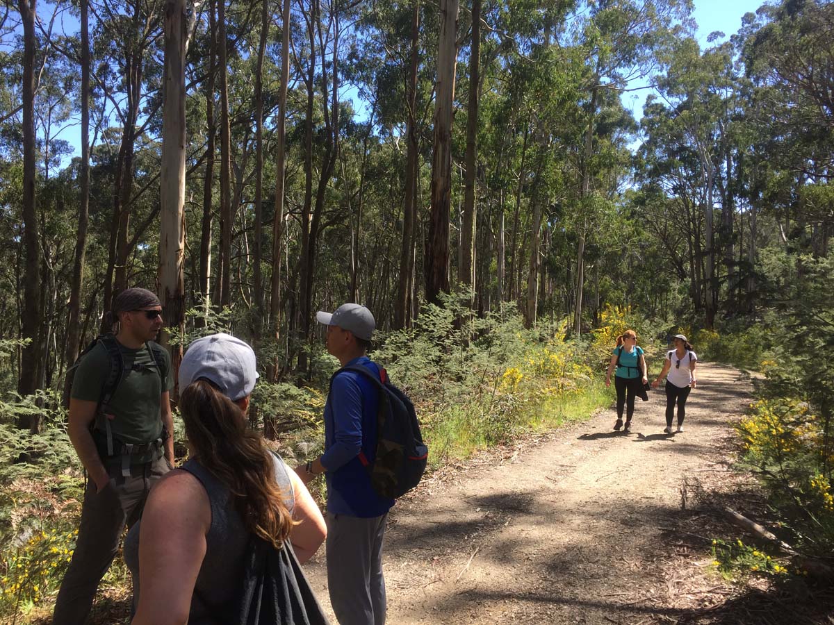 Daylesford lakes & falls hike 27