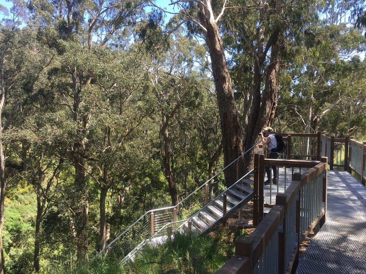 Daylesford lakes & falls hike 3