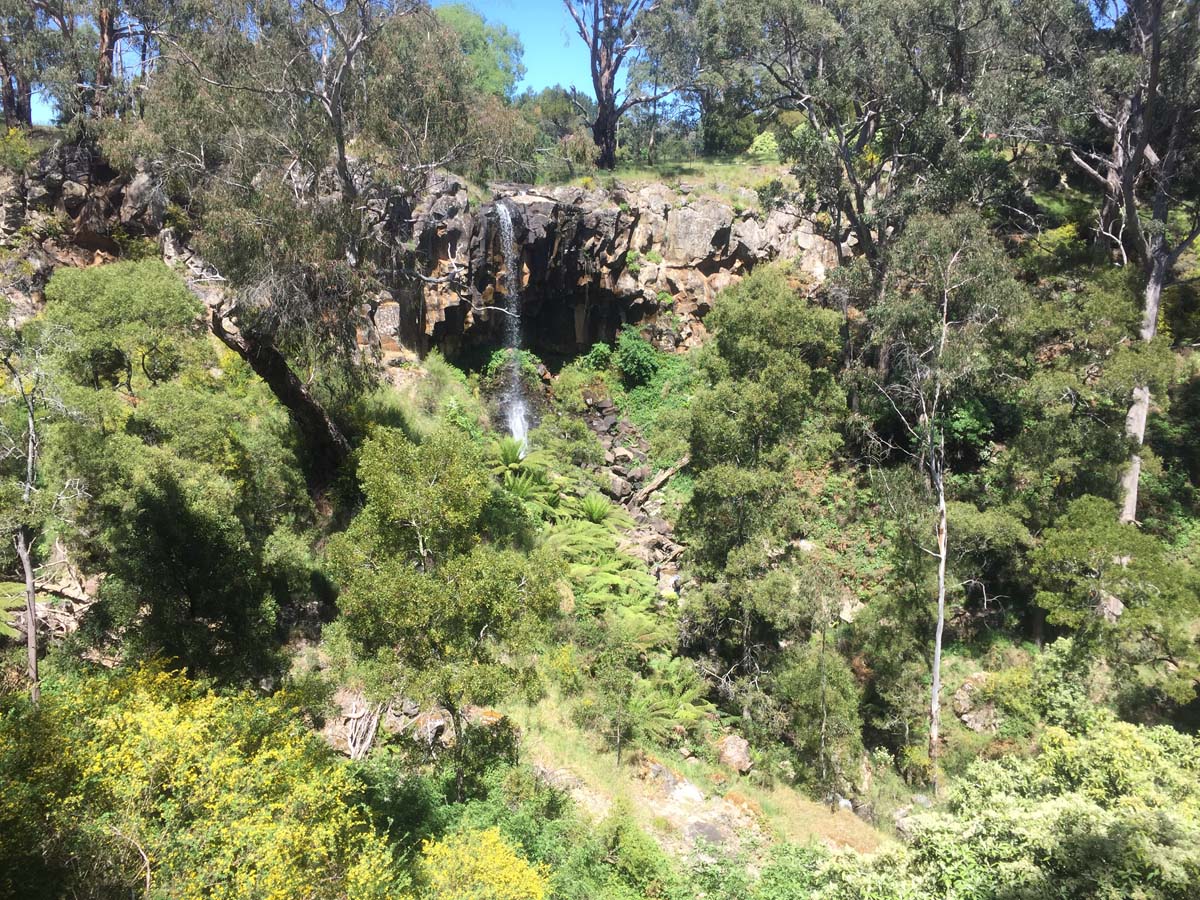 Daylesford lakes & falls hike 4