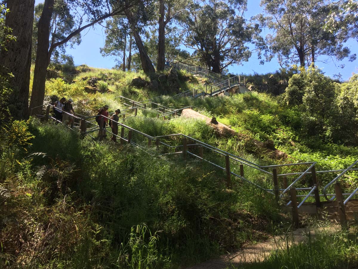 Daylesford lakes & falls hike 5