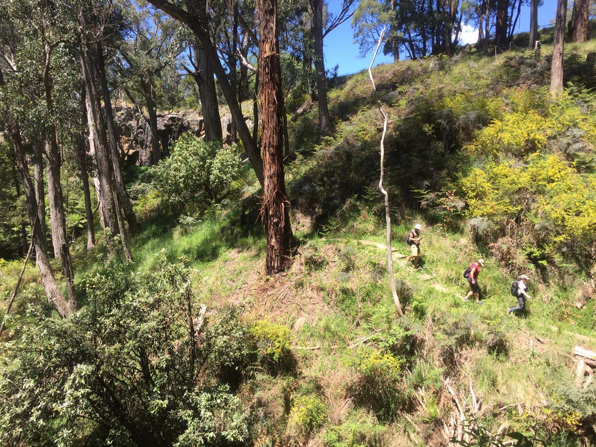 Daylesford lakes & falls hike 7