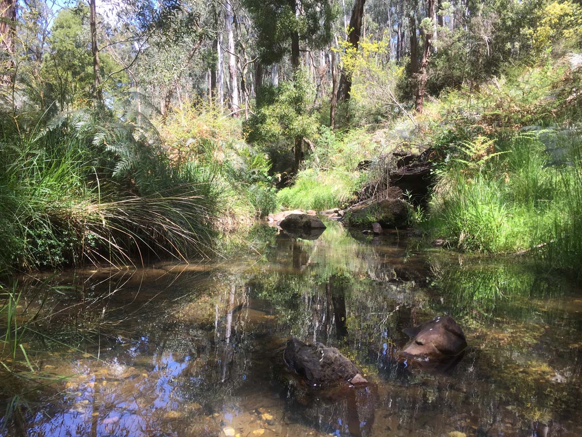 Daylesford lakes & falls hike 9