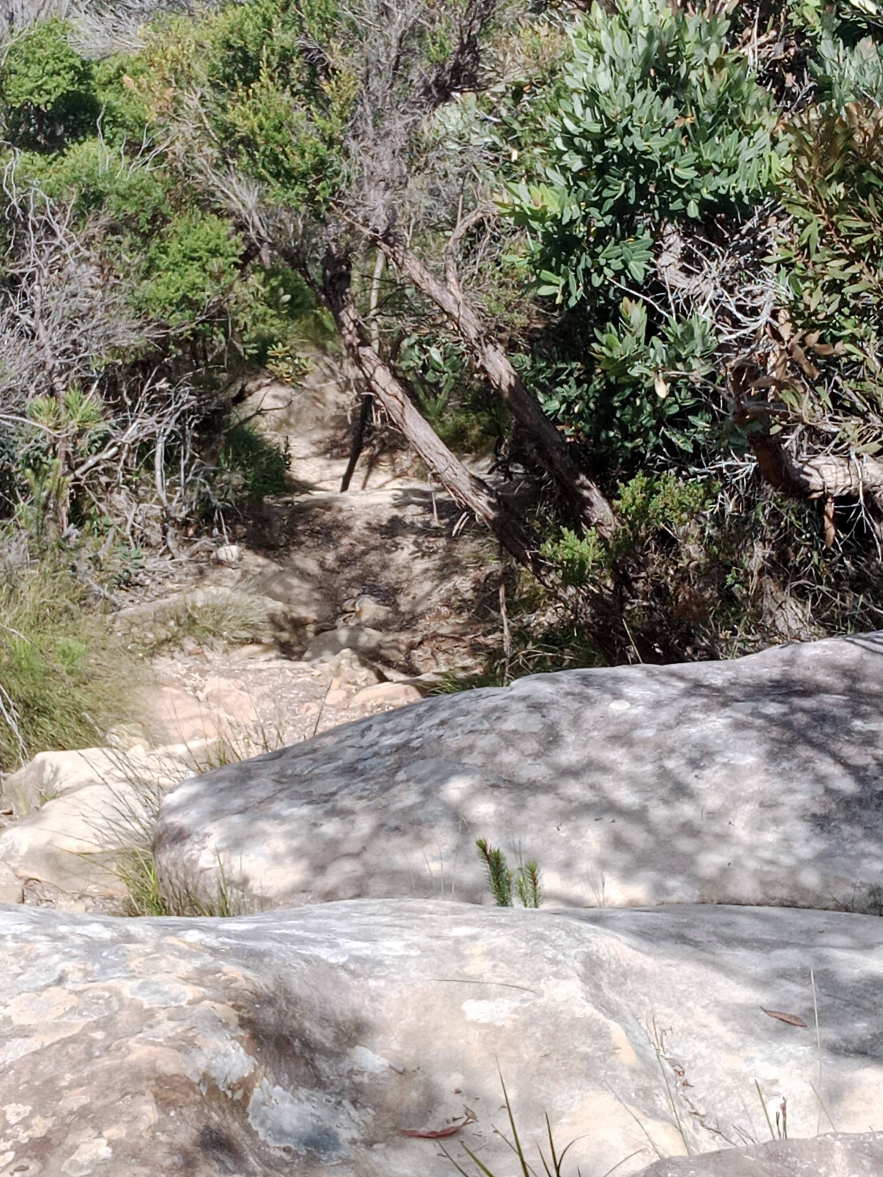 Deer pools walk (1)