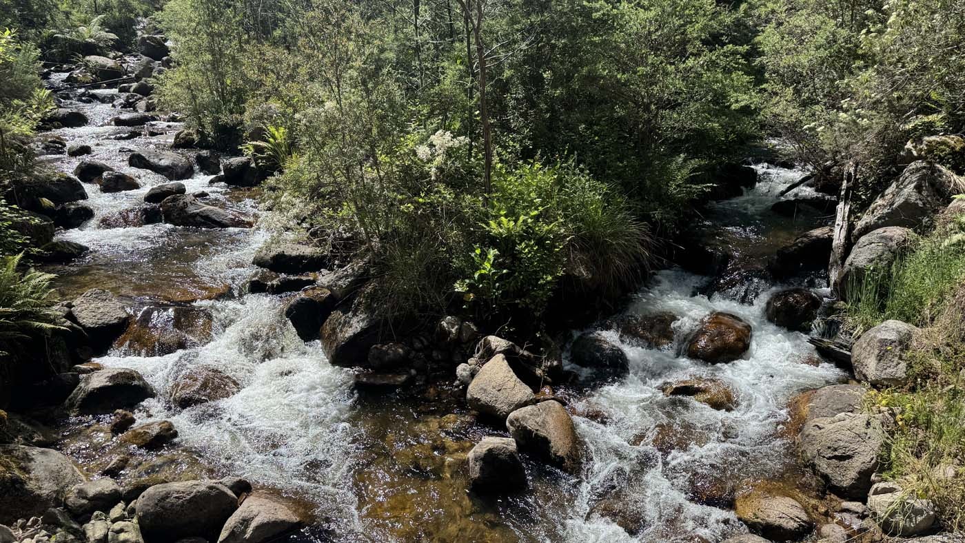 Delatite river trail victoria (1)