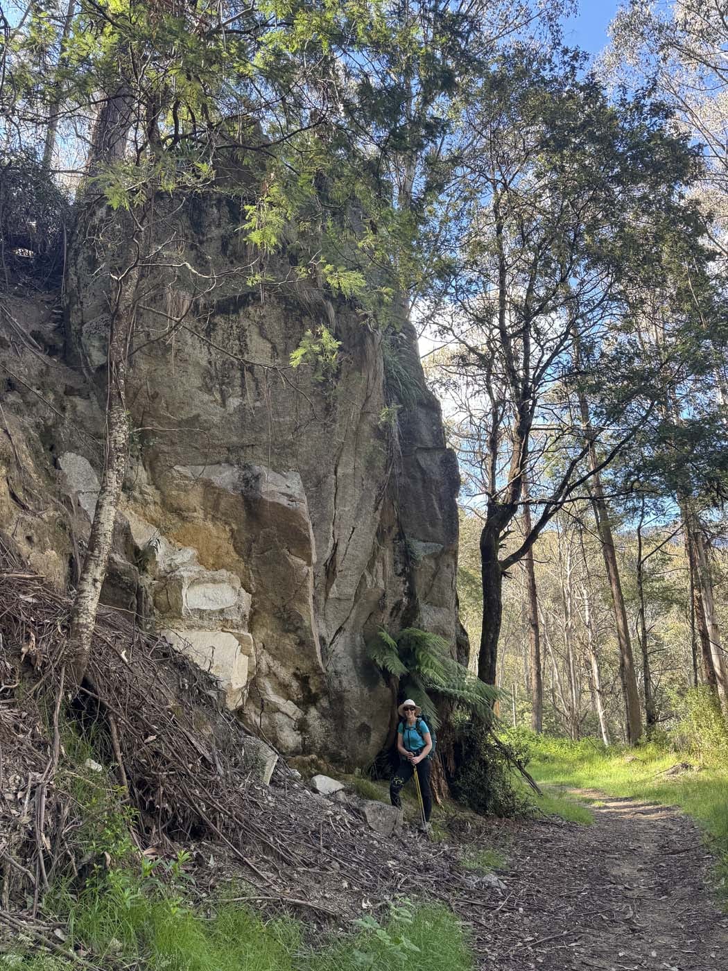 Delatite river trail victoria (1) 1