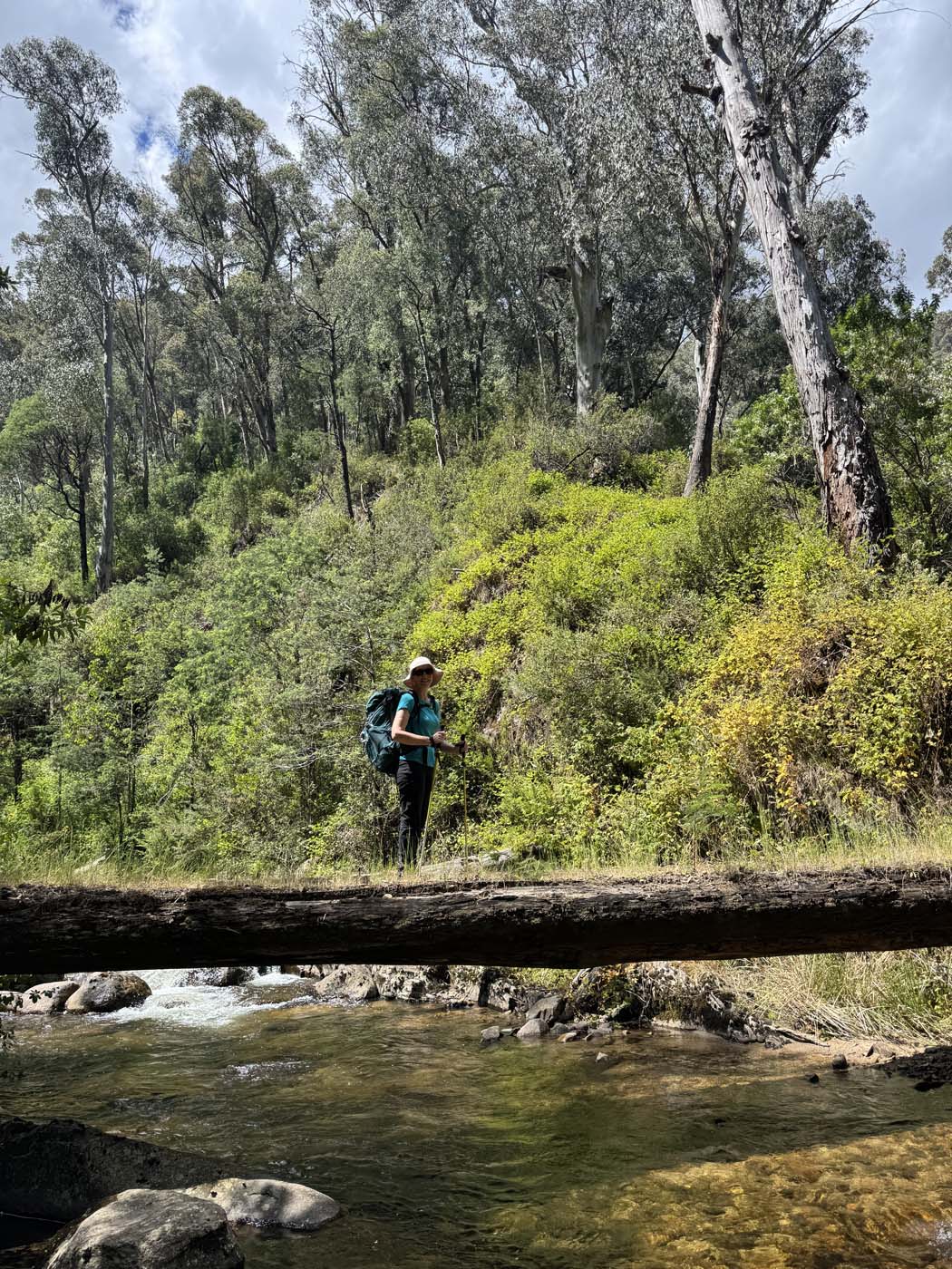 Delatite river trail victoria (10)