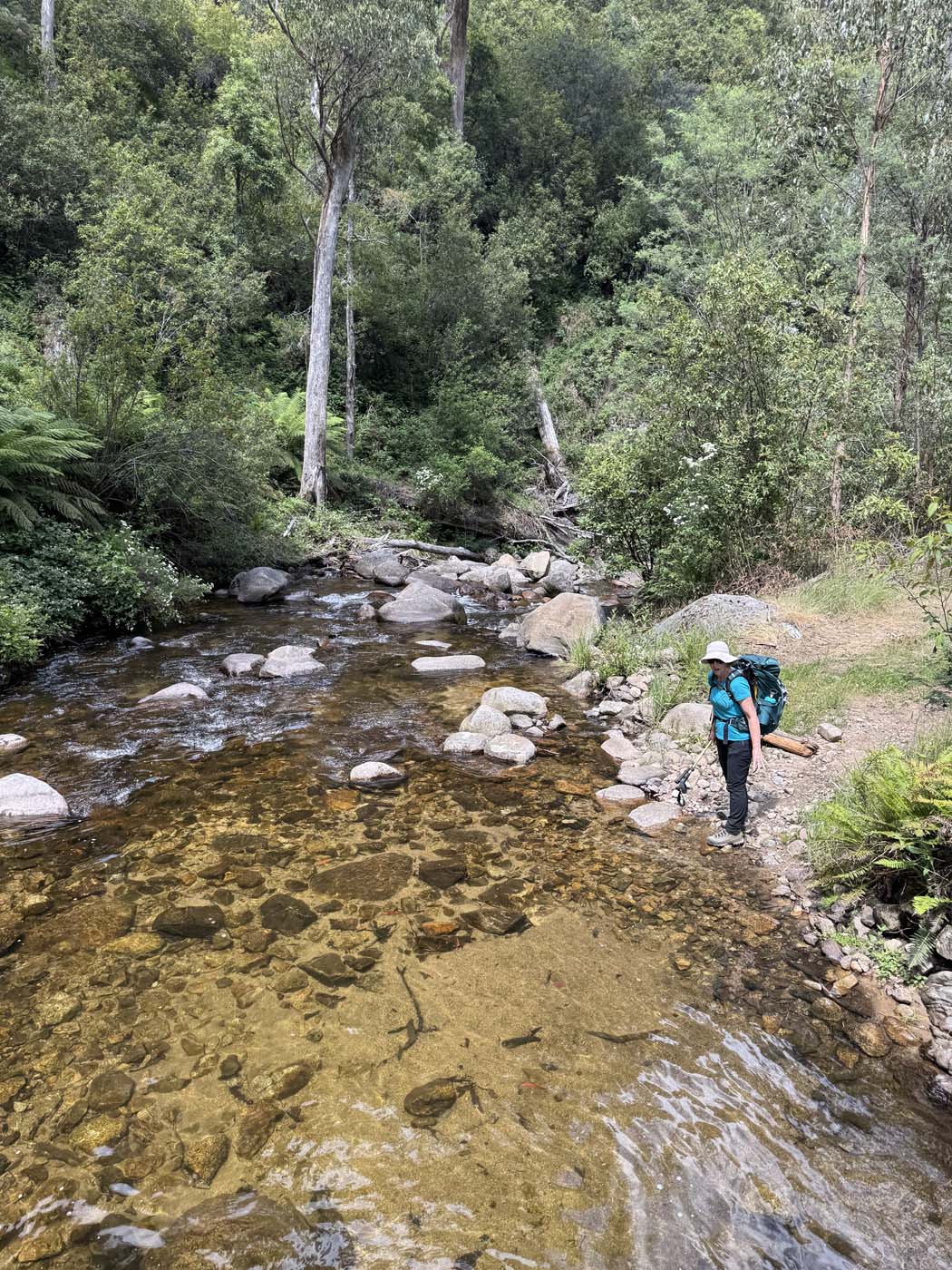 Delatite river trail victoria (11)