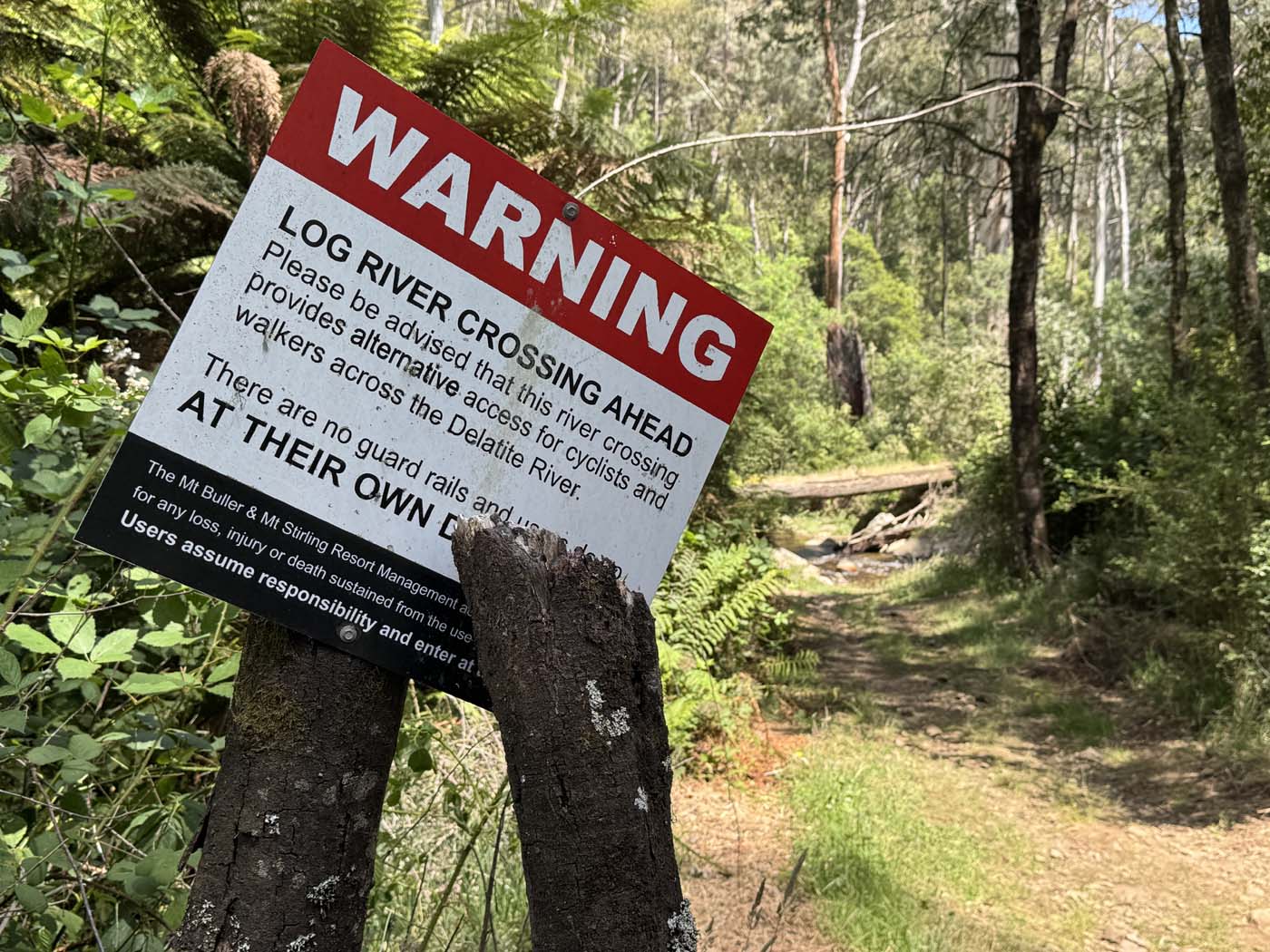 Delatite river trail victoria (14)