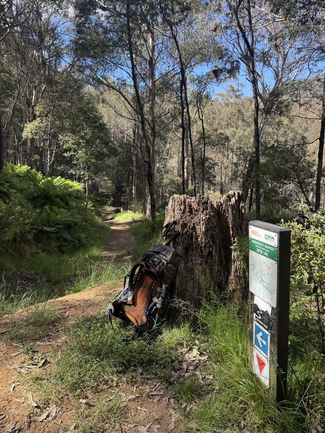 Delatite river trail victoria (2) 1