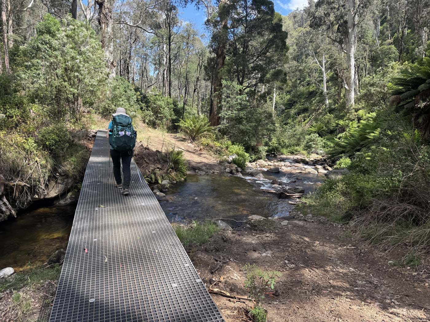 Delatite river trail victoria (4)