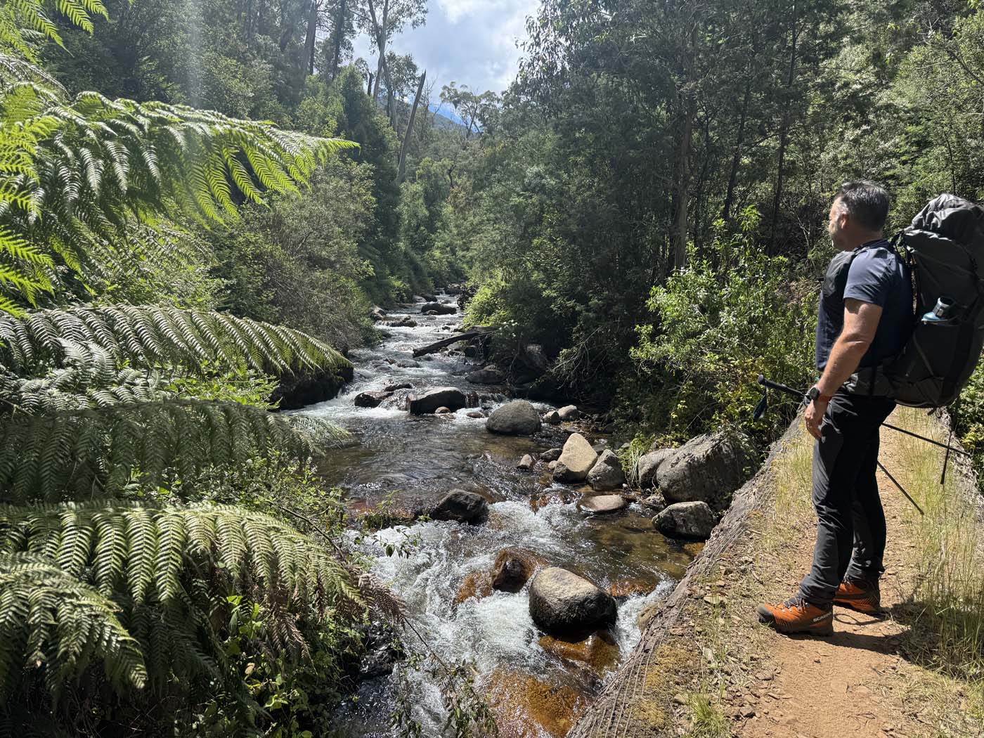 Delatite river trail victoria (7)
