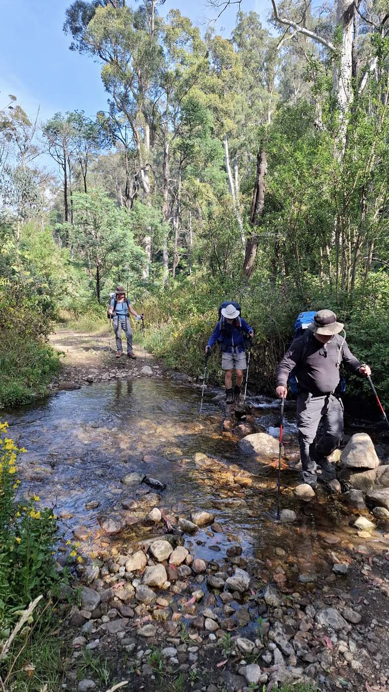 Delatite river trail (1)