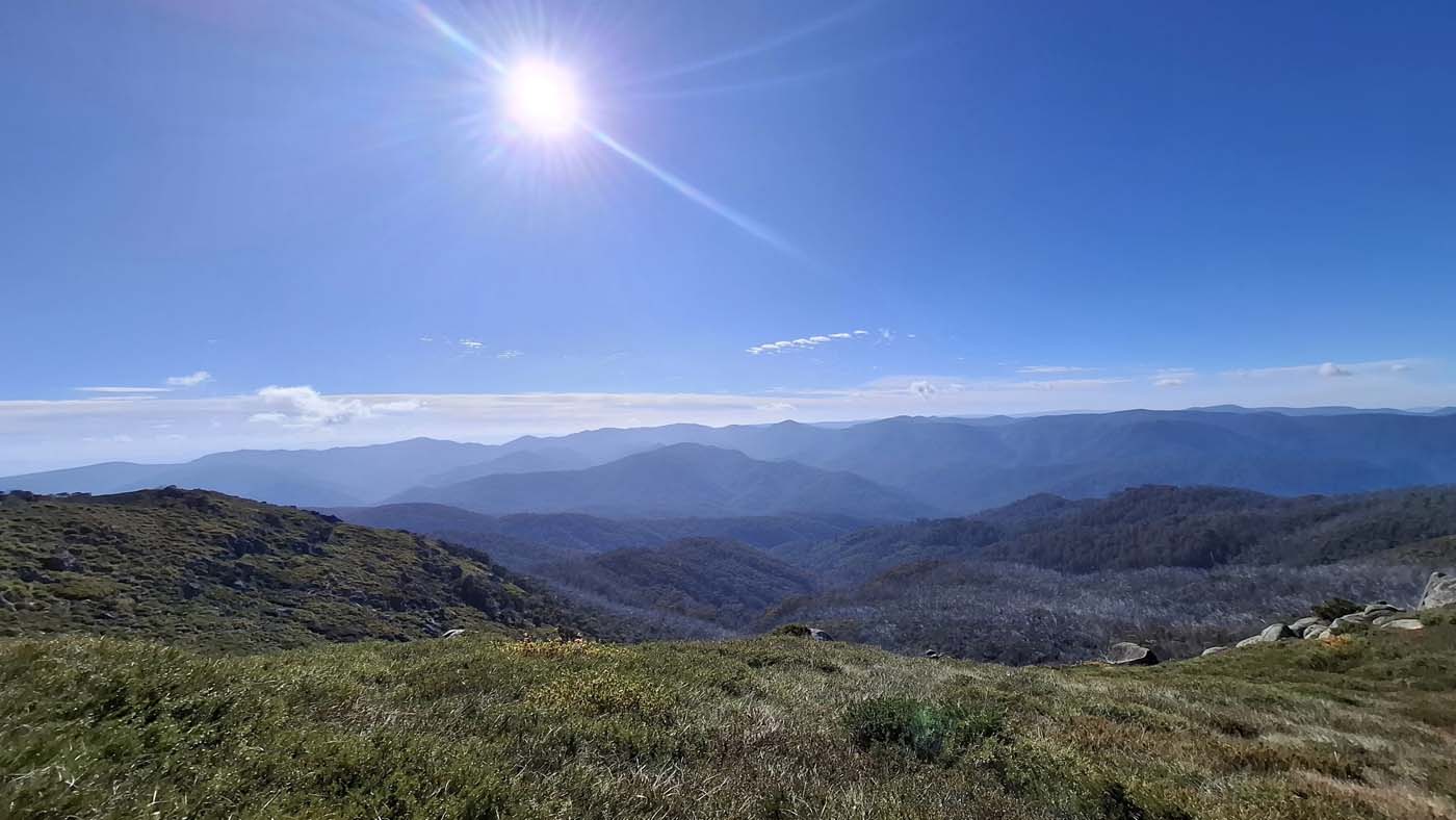 Delatite river trail (10)
