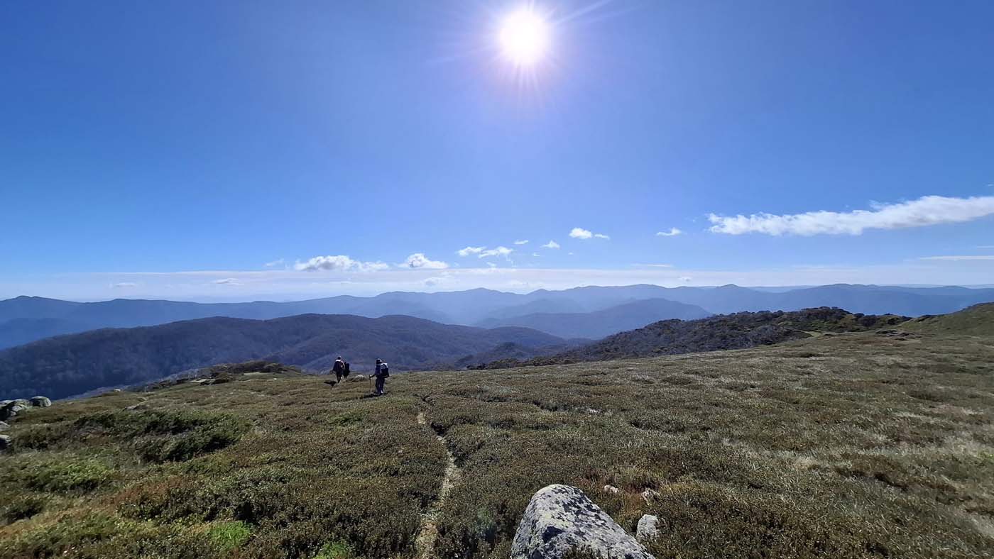 Delatite river trail (14)