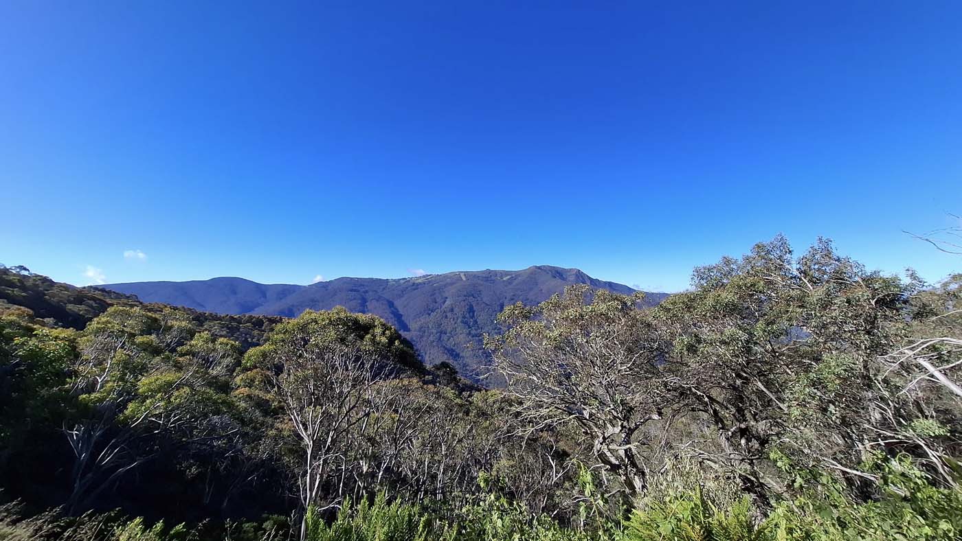 Delatite river trail (20)