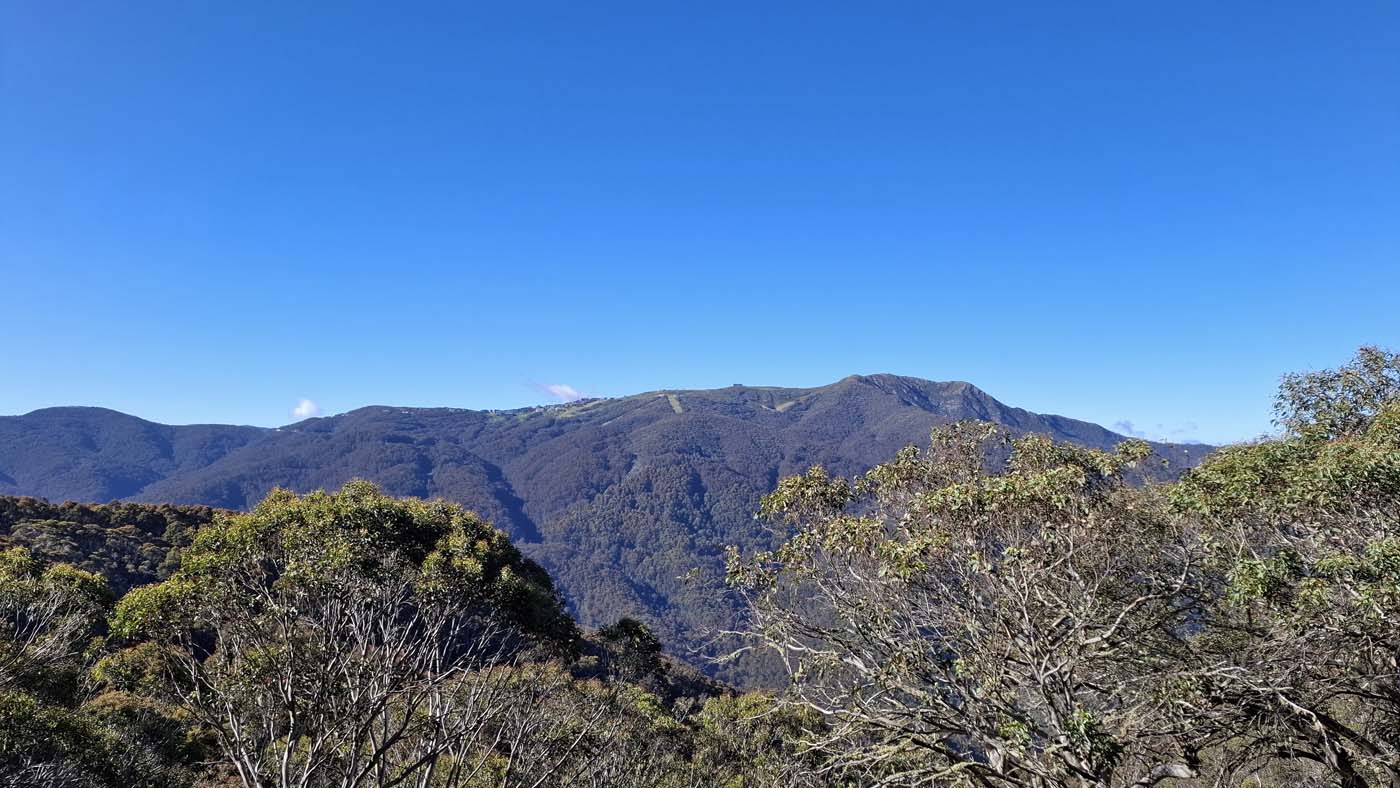 Delatite river trail (21)