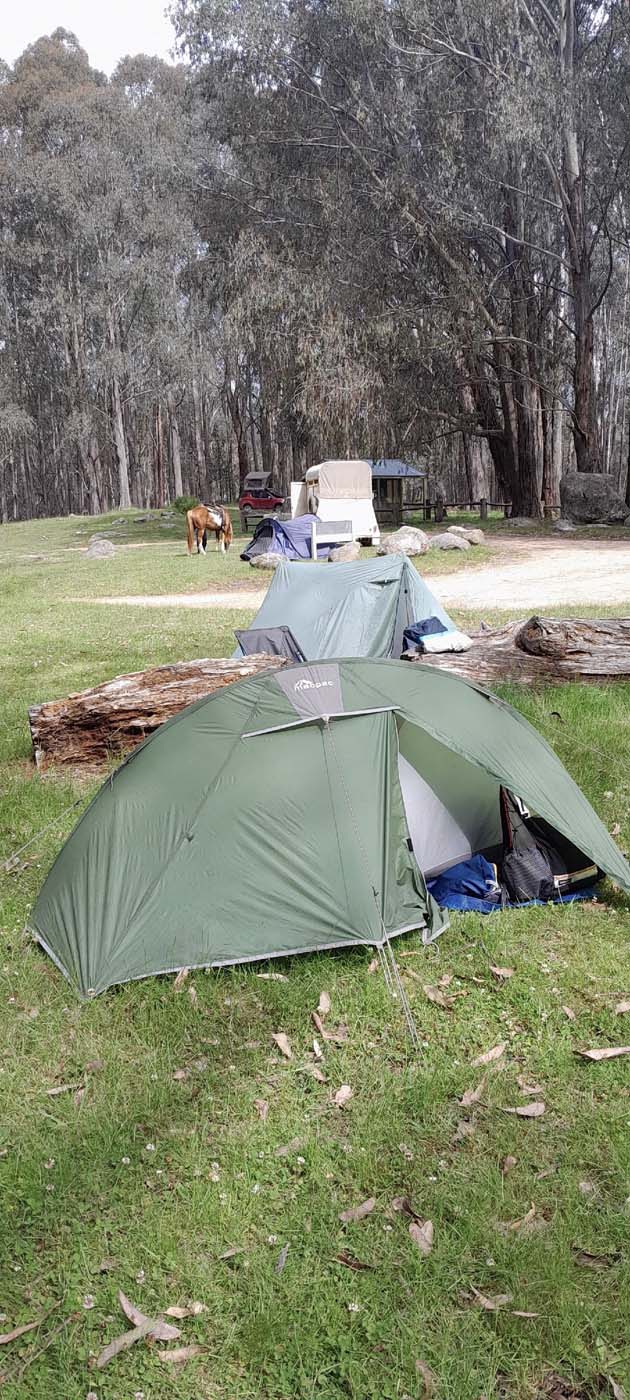 Delatite river trail (22)