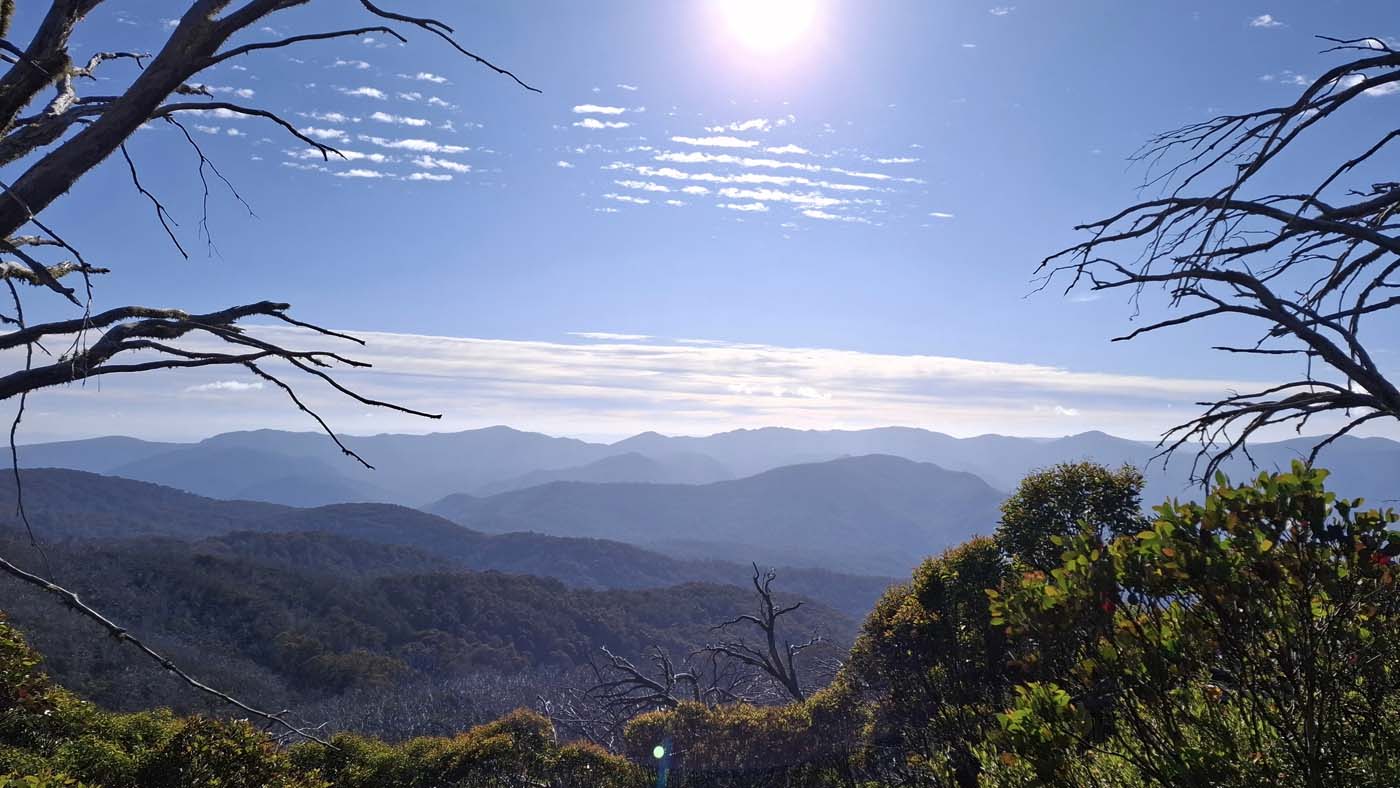 Delatite river trail (5)